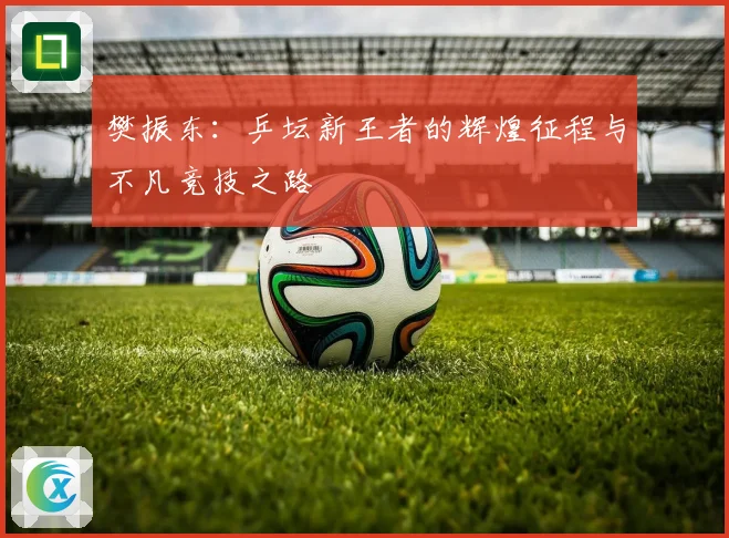 樊振东：乒坛新王者的辉煌征程与不凡竞技之路