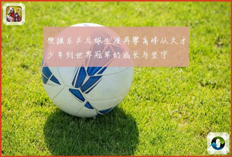樊振东乒乓球生涯再攀高峰从天才少年到世界冠军的成长与坚守