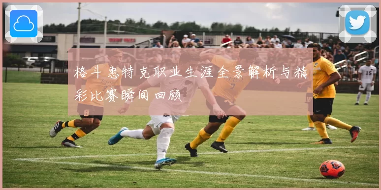 格斗惠特克职业生涯全景解析与精彩比赛瞬间回顾