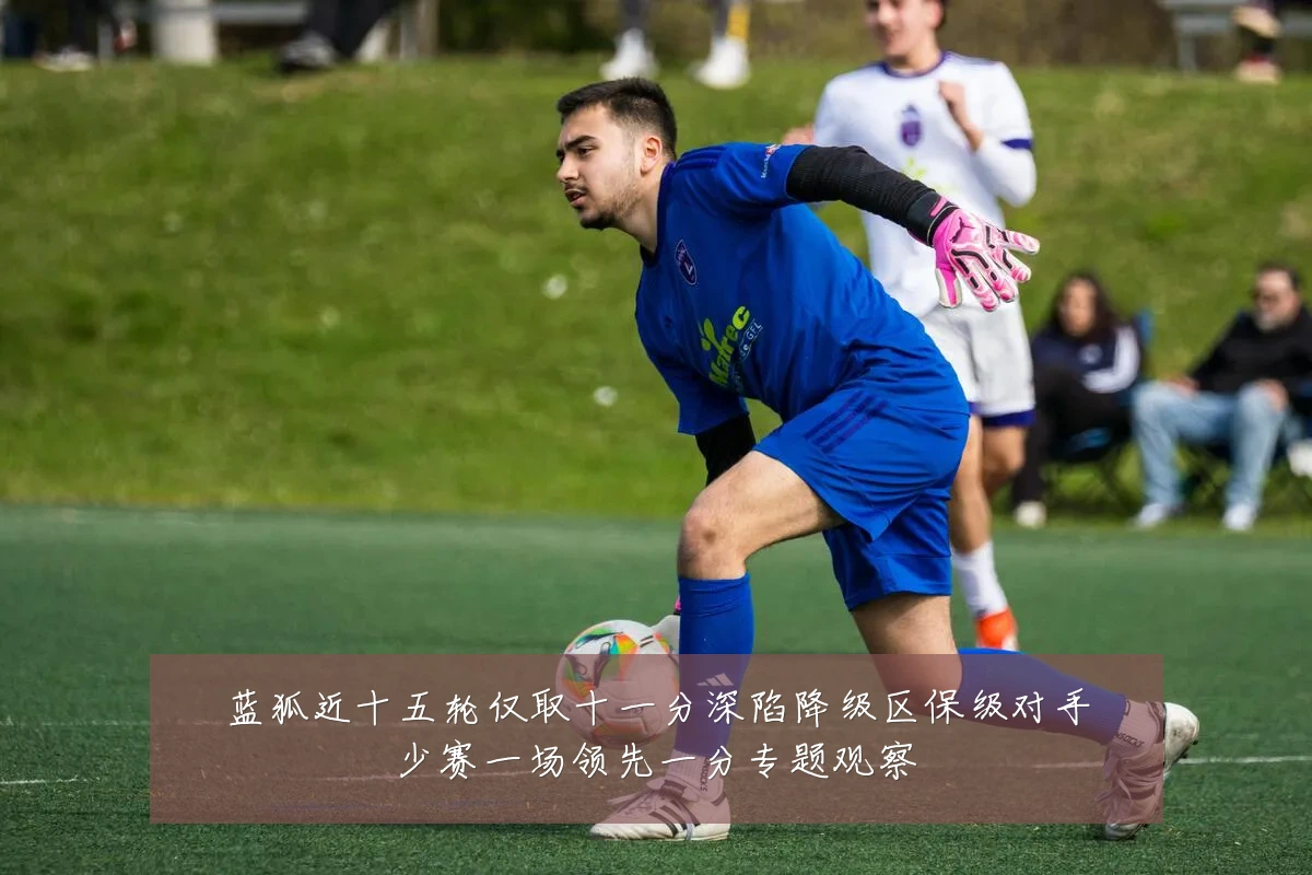 蓝狐近十五轮仅取十一分深陷降级区保级对手少赛一场领先一分专题观察