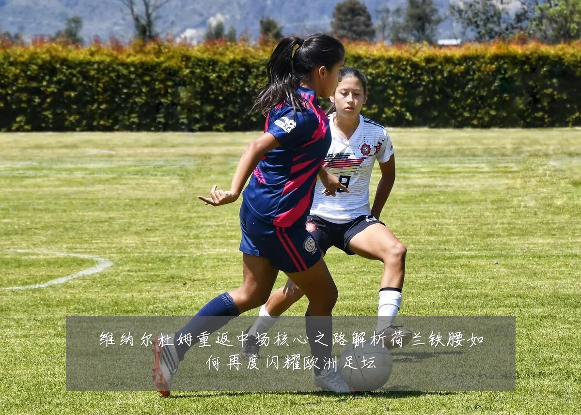 维纳尔杜姆重返中场核心之路解析荷兰铁腰如何再度闪耀欧洲足坛